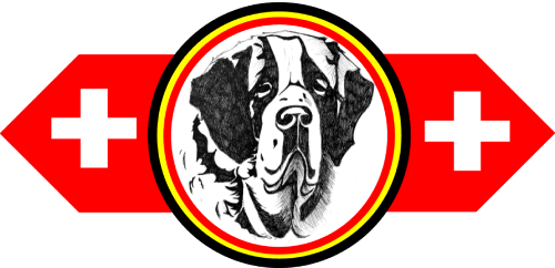 Logo van de Belgische Sint-Bernard Club